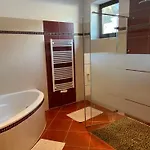 Apartment Natursport Heutal Ski-in & Ski-out *