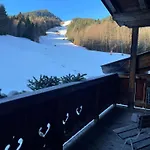Natursport Heutal Ski-in & Ski-out Apartamento Unken