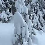 Natursport Heutal Ski-in & Ski-out *