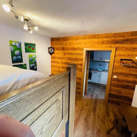 Natursport Heutal Ski-in & Ski-out Apartmán *