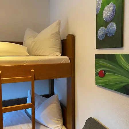 Natursport Heutal Ski-in & Ski-out アパート *