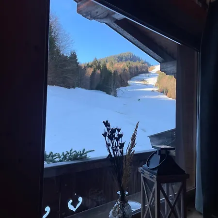 Natursport Heutal Ski-in & Ski-out *