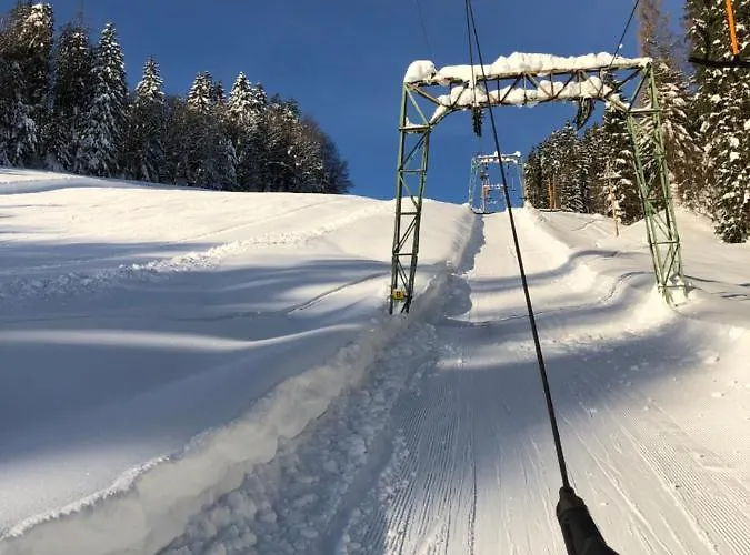 Natursport Heutal Ski-in & Ski-out *