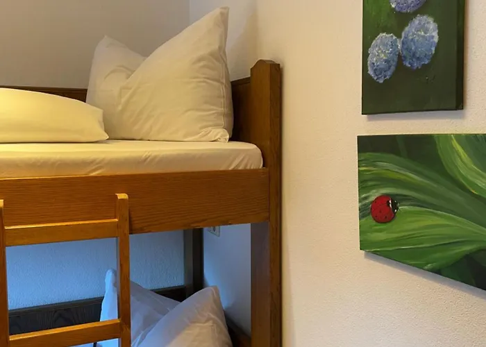 Natursport Heutal Ski-in & Ski-out Apartmán *